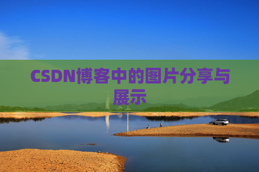 CSDN博客中的图片分享与展示